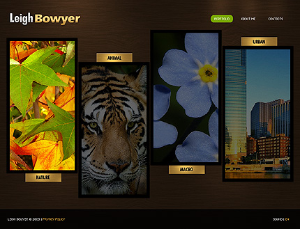 Website Template #24615