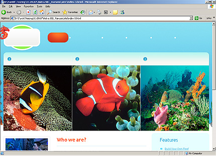 Website Template #24651