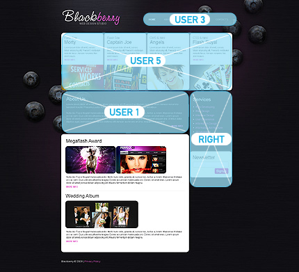 Website Template #24716