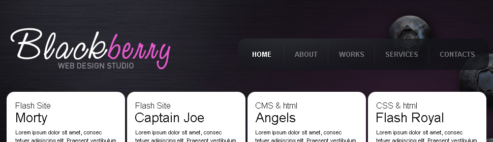 Website Template #24716