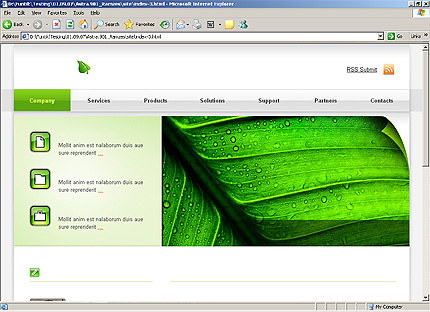 Website Template #24752