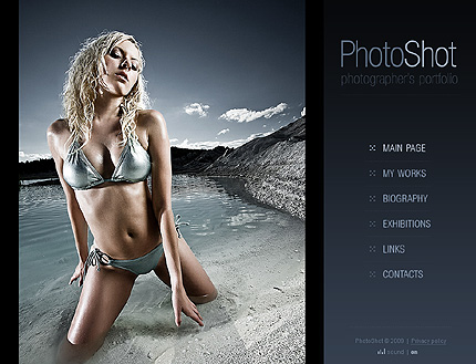 Website Template #24763