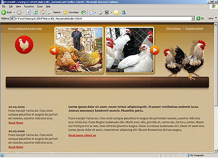 Website Template #24796
