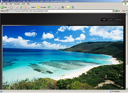 Website Template #24841