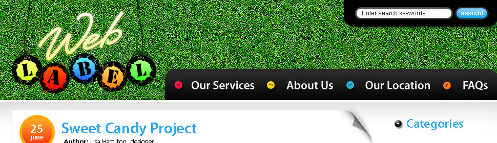 Website Template #24897