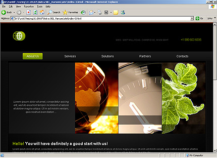 Website Template #24904
