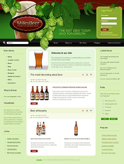 Website Template #24932