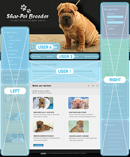 Website Template #24974