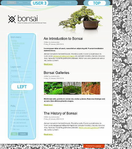 Website Template #24975