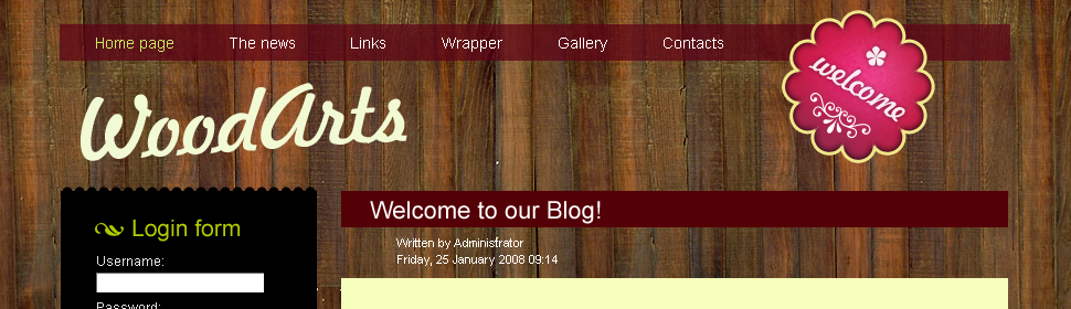 Website Template #24976