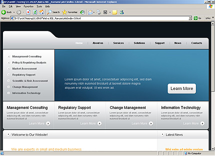 Website Template #24985