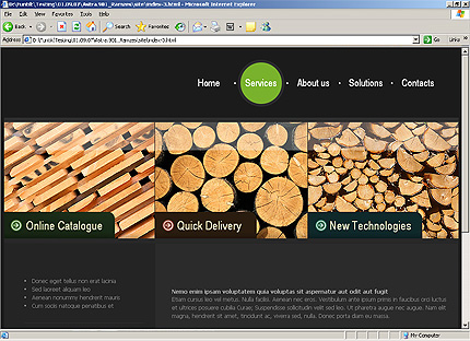 Website Template #24986