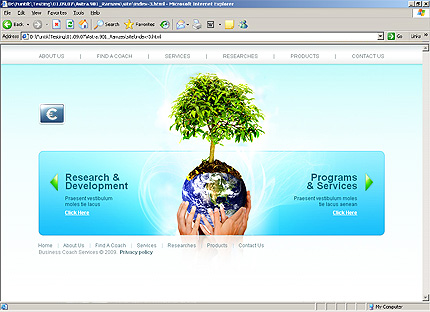 Website Template #24991