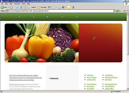 Website Template #25042