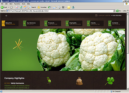 Website Template #25047