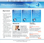Turnkey Website #25077