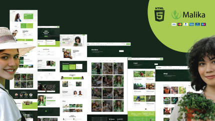 Website Templates