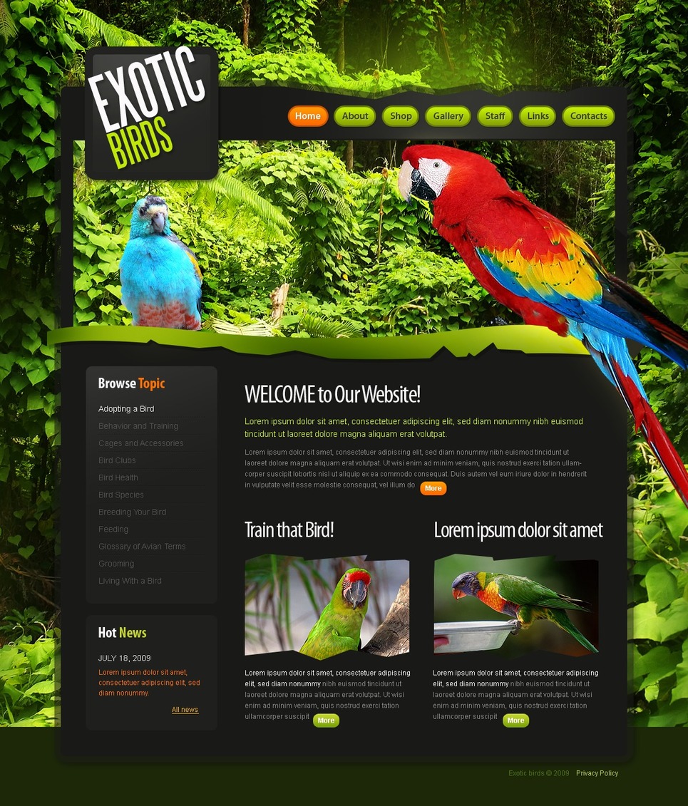 birds-website-template-25270