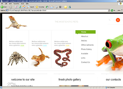 Website Template #25313