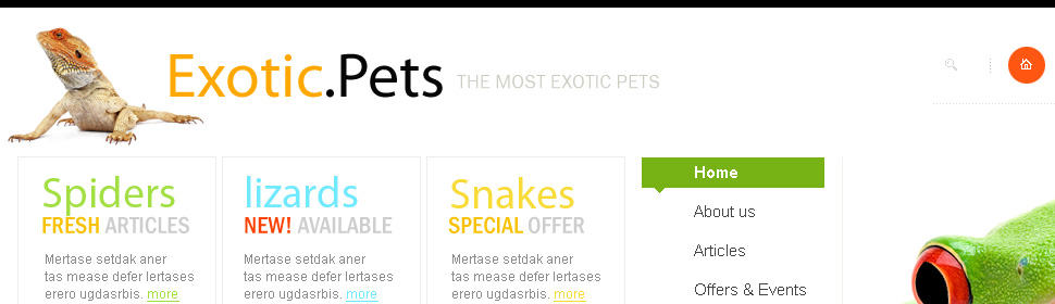 Website Template #25313