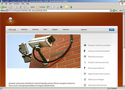 Website Template #25343