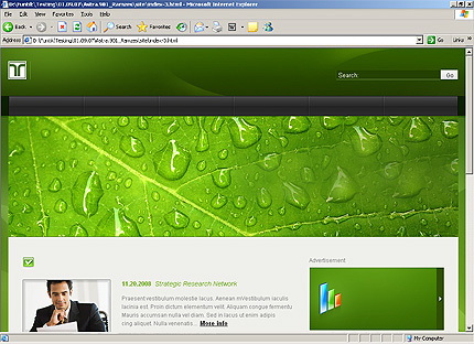 Website Template #25457