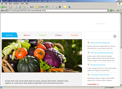 Website Template #25577
