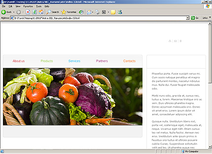 Website Template #25577