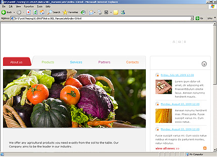 Website Template #25577