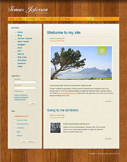 Website Template #25601