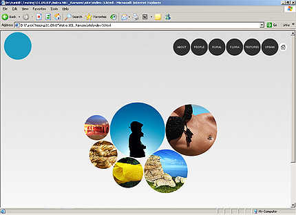 Website Template #25628
