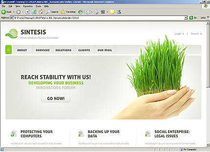 Website Template #25662