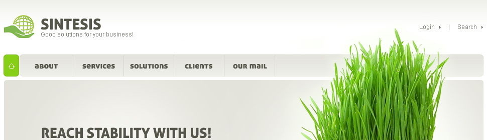 Website Template #25662