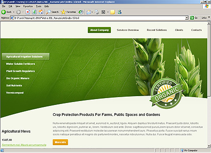 Website Template #25685