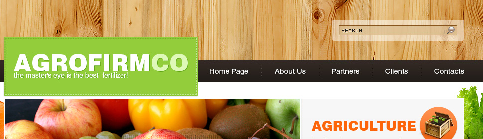 Website Template #25698