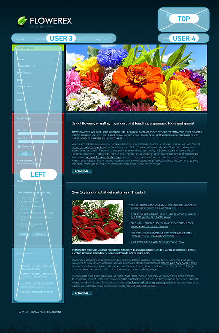 Website Template #25701