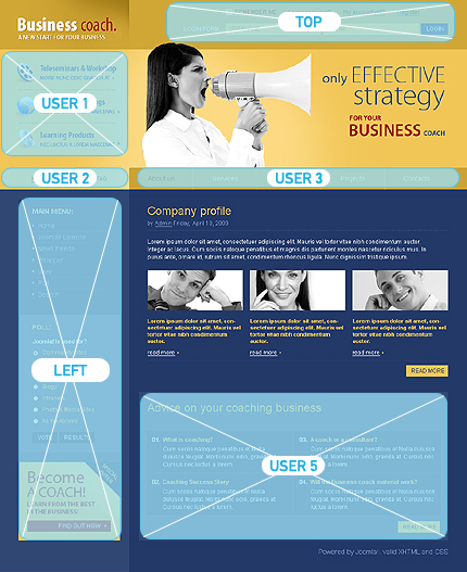 Website Template #25757