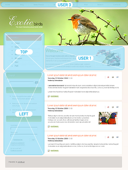 Website Template #25793