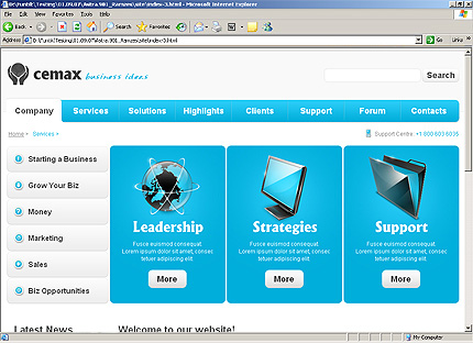 Website Template #25794