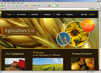 Website Template #25805