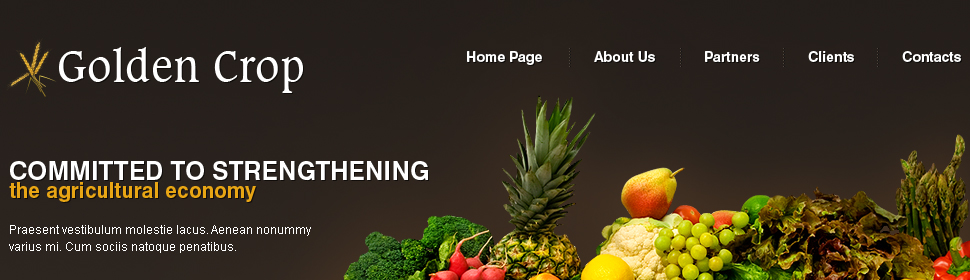 Website Template #25860