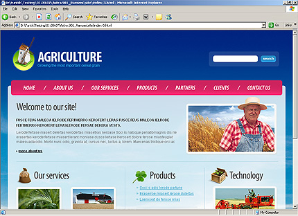 Website Template #25897