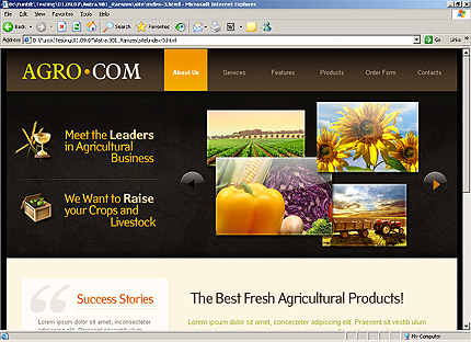 Website Template #26049