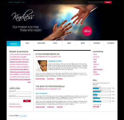 Website Template #26062