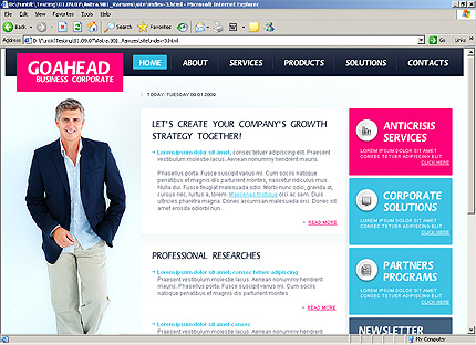 Website Template #26065
