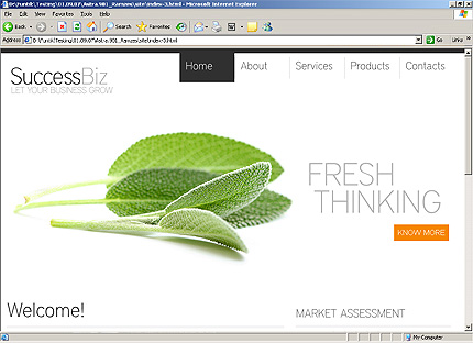 Website Template #26095