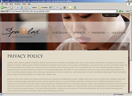 Website Template #26107