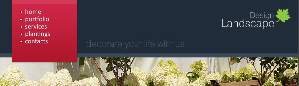 Website Template #26116