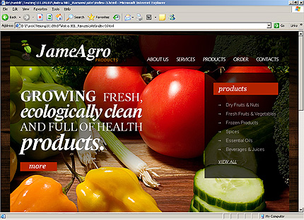 Website Template #26150