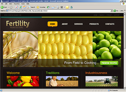 Website Template #26163